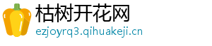 枯树开花网